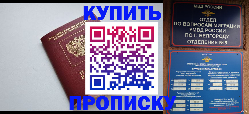 прописка регистрация в Новодвинске